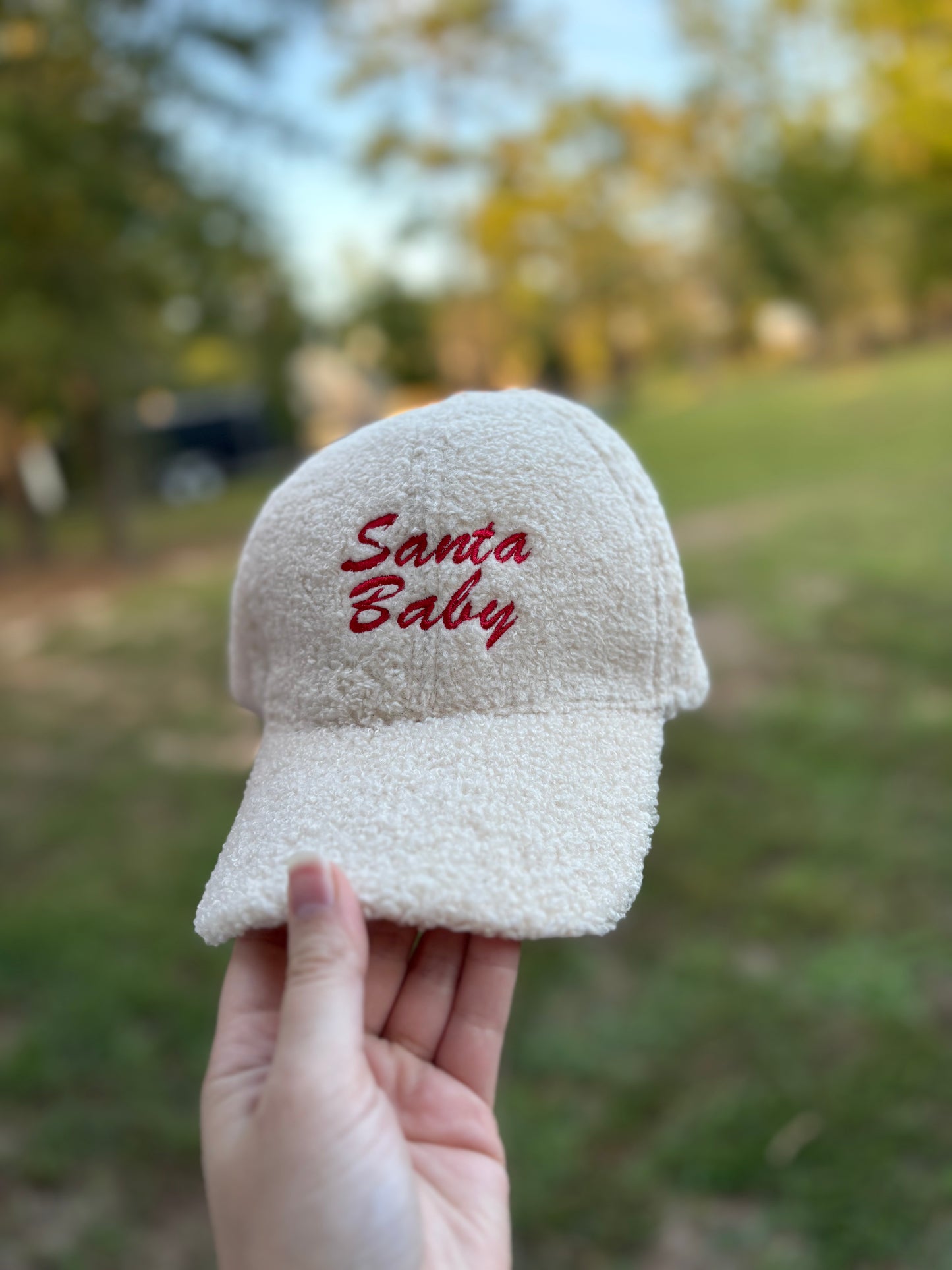 Santa Baby Hat